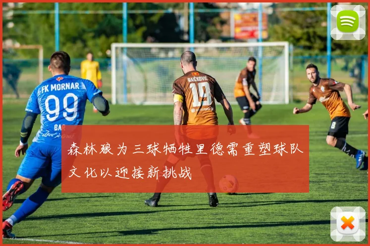 森林狼为三球牺牲里德需重塑球队文化以迎接新挑战